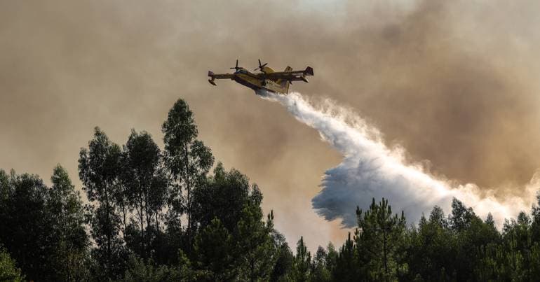 Pedrógão Grande: Victims' association calls for more prevention