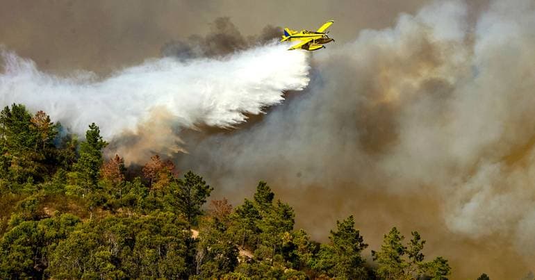 ICNF invests €50 million in fire prevention