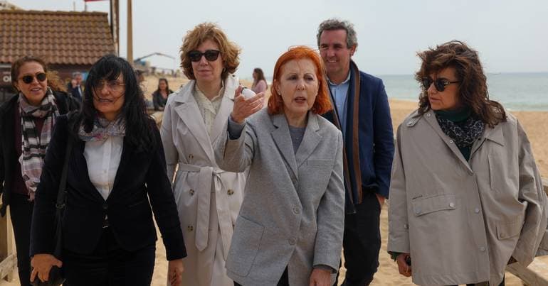 Intervention on the cliffs is "super urgent", says minister