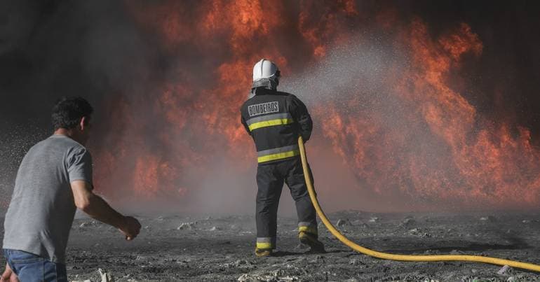 Anti-fire operation to clear forests by May