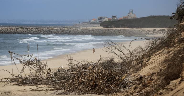 Bathing discouraged at four Espinho beaches
