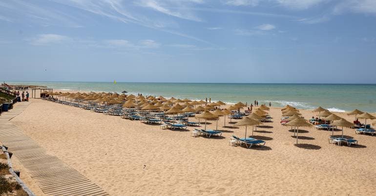 APA president refuses to talk about beach umbrellas and concessions