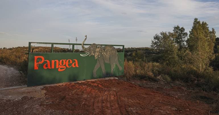 Last circus elephant in Portugal now lives in a sanctuary