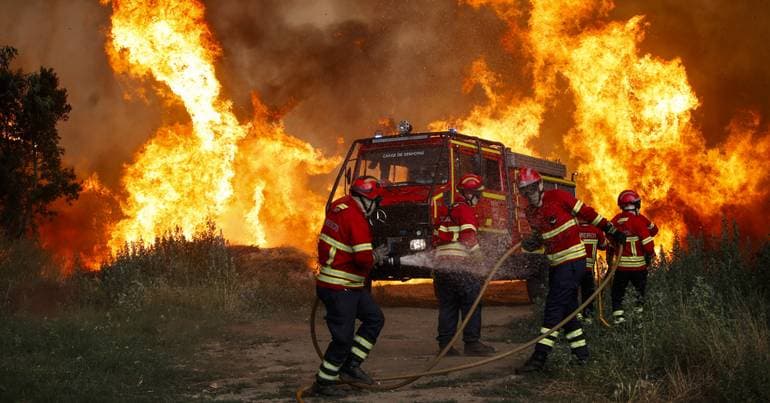 More than 15,000 hectares of land burnt in five days