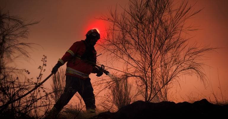 More than 100 personnel fight fire in Estremoz