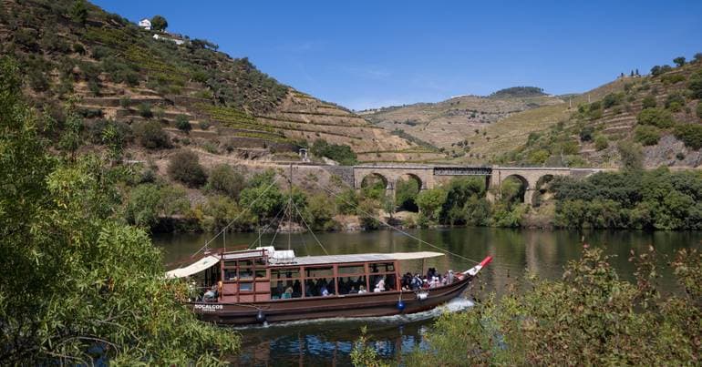425 applications for the 12 million support package for winegrowers