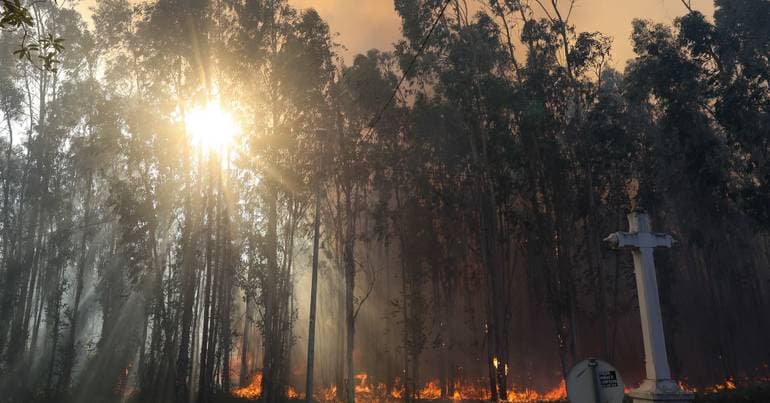 Man accused of arson in Aveiro receives suspended sentence