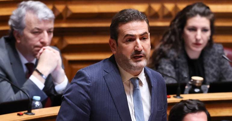 PSD promises support in election if PS insists on Luísa Neto
