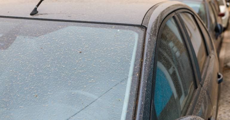IPMA: dust concentration remains until Saturday