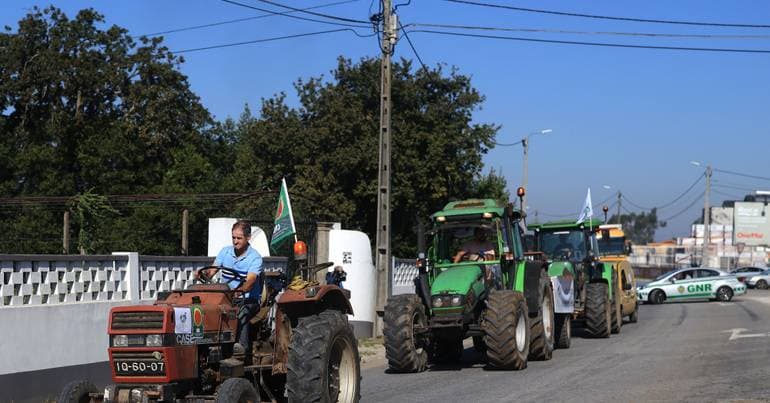 Ovar: Farmers accuse government of abandonment