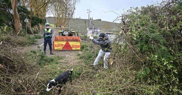 Bad weather. Government reinforces aid in Western municipalities
