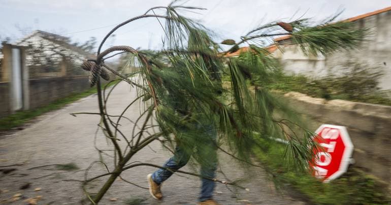 Pedrógão Grande: Association accuses Government of a slow response