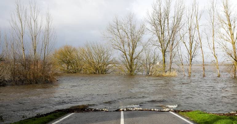 Soure reports 25 million euros in damages