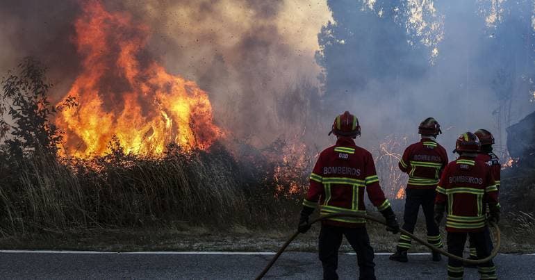 Burned area falls by 73% but fires increase by 7%