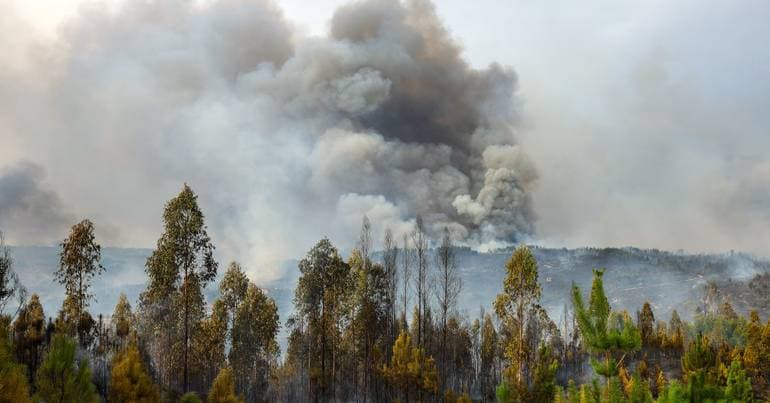 GNR to use 28 drones to monitor forests in 2026