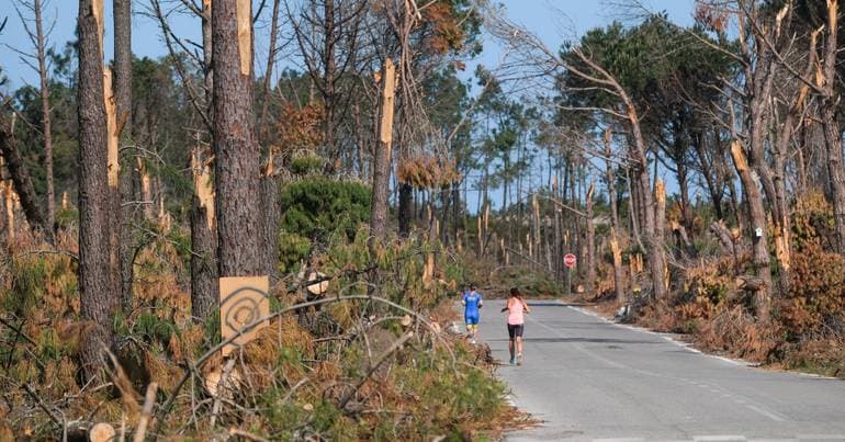 Kristin: 30 million reach 22 municipalities for forests