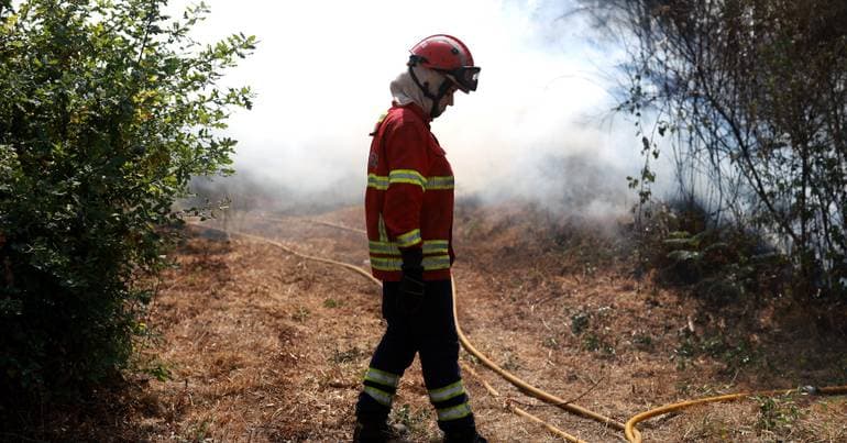 More than 150 firefighters battle blaze in Mira-Sintra
