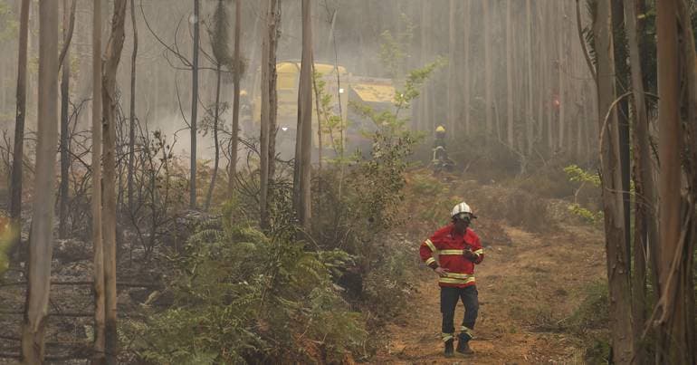 GNR arrests man who caused fire in Seia while cutting a pole
