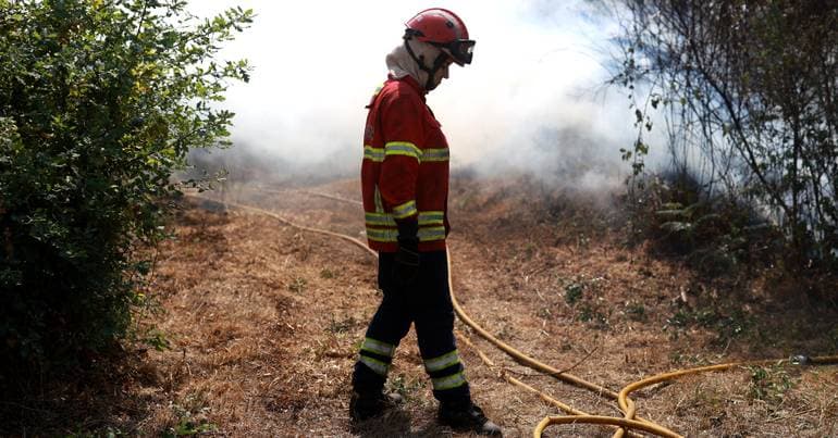 2,000 hectares of land burned in Montesinho Park