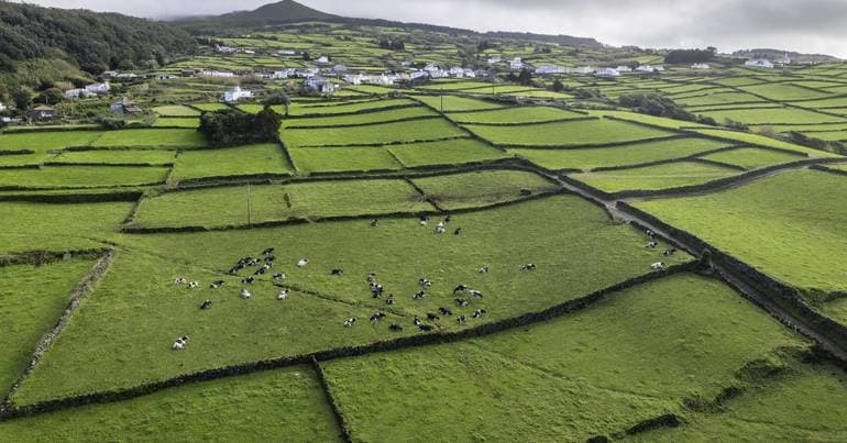 Chega says there are "abandoned" houses in Terceira