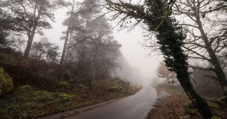 Several districts under warning due to rain and snowfall