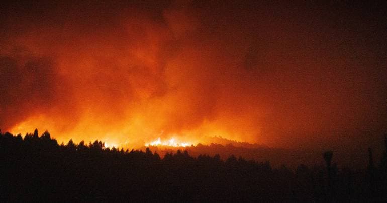 Fire in Vila Pouca de Aguiar mobilises 226 personnel