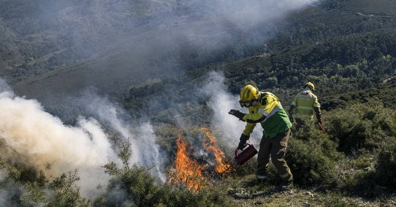 Arouca: 130 personnel and 5 aircraft fight the flames