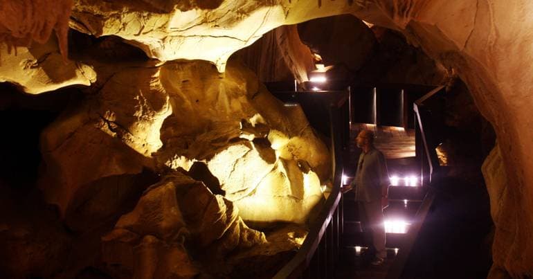 Portugal in the first discovery of prehistoric DNA in caves