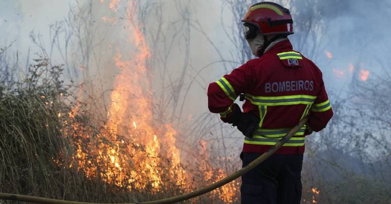 73-year-old man arrested on suspicion of starting fires in Sever do Vouga