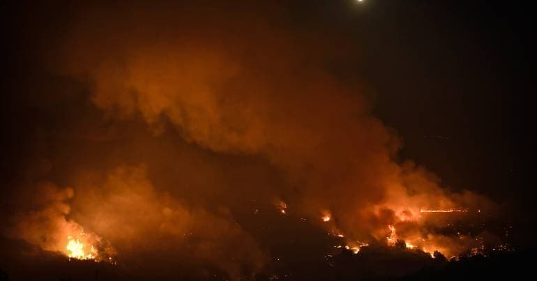 PJ arrests minor suspected of forest fire in Covilhã