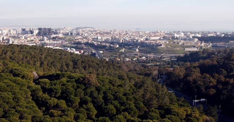 Lisbon closes 13 forest areas due to fire risk