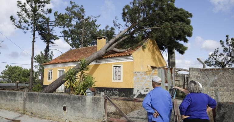 Marinha Grande has decided on only 14% of post-Kristin support