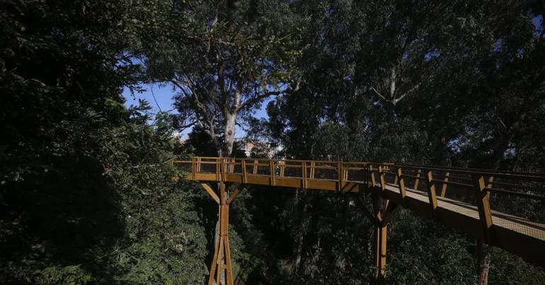 Hiking trail closed since 2025 reopens in Madeira
