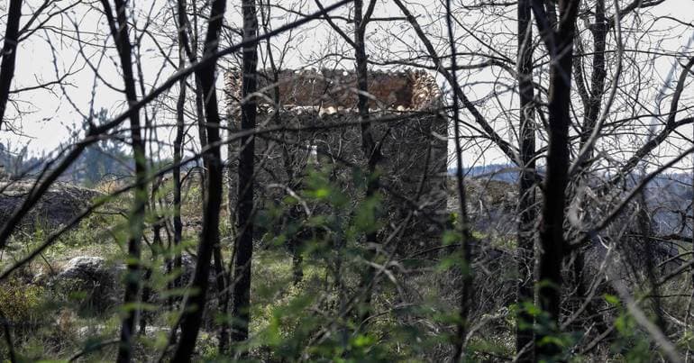 Tábua declares losses of 2.8 million euros