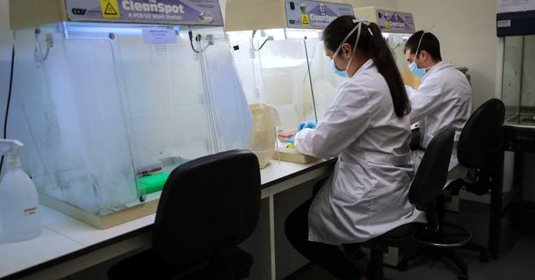 Scientists attempt to stop the ageing of the immune system