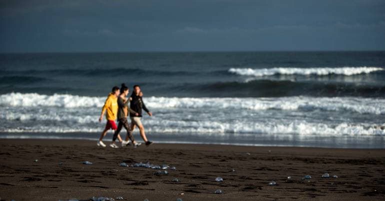Ponta Delgada begins bathing season on June 1st