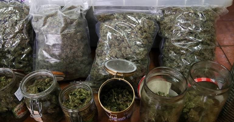 Arrested in Paredes with 11,000 doses of drugs