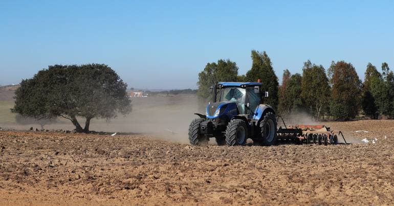 Sludge attracts bad odours and flies in Aljustrel and Castro Verde