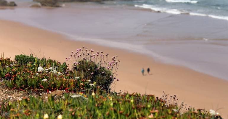 Trash on Alentejo beaches transformed into works of art