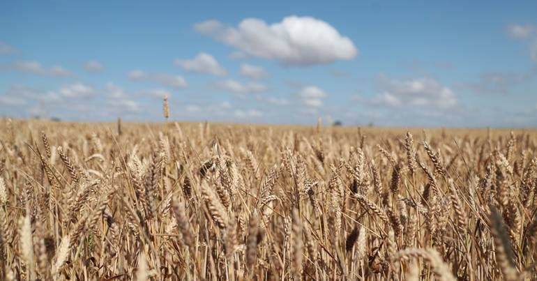 PSD criticises the Intermunicipal Commission of Baixo Alentejo
