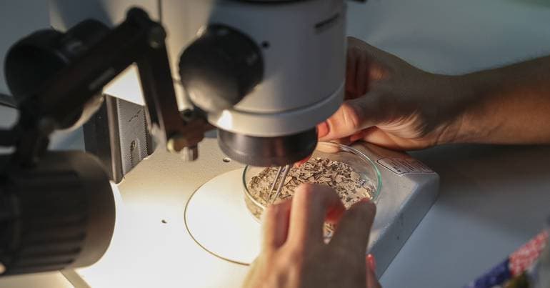 Portuguese therapy promises to treat aggressive cancers