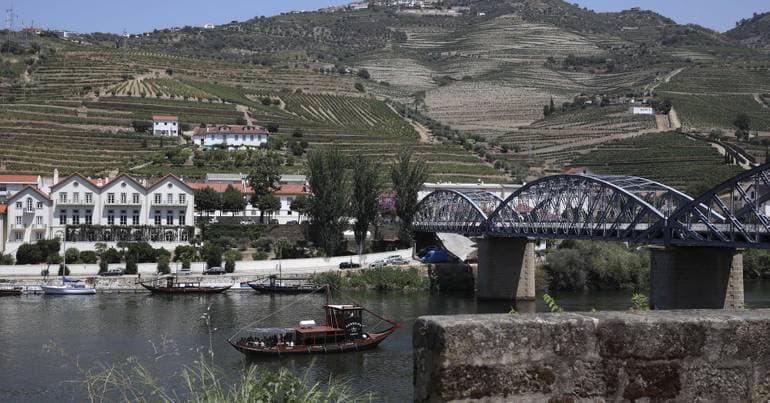 Corgo River: dead fish situation worsens and causes remain unknown