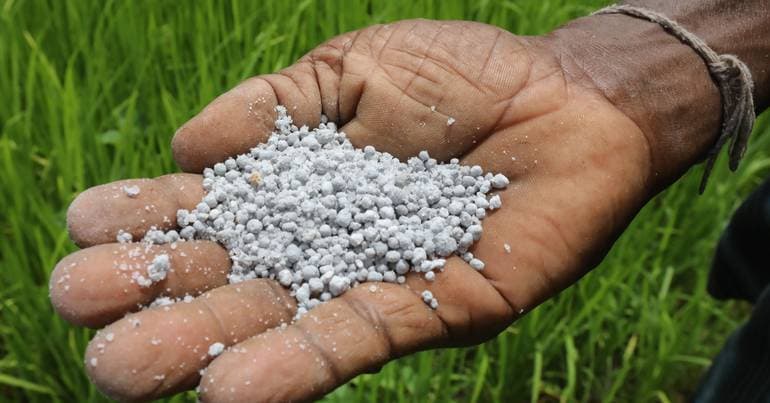 Serpa farmers criticise price hikes