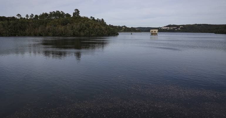 Tourist village and luxury in Tomar without environmental assessment