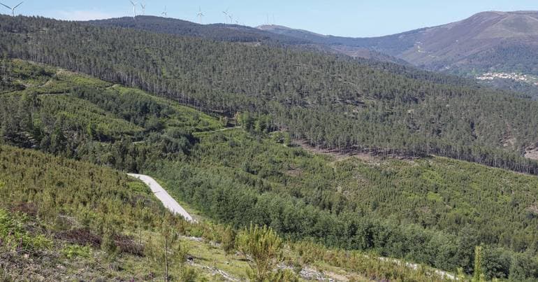 Project brings social services to the villages of Pedrógão Grande