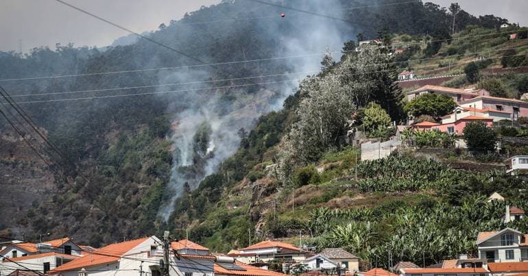 Wildfires: PS/Madeira advocates for a prevention strategy