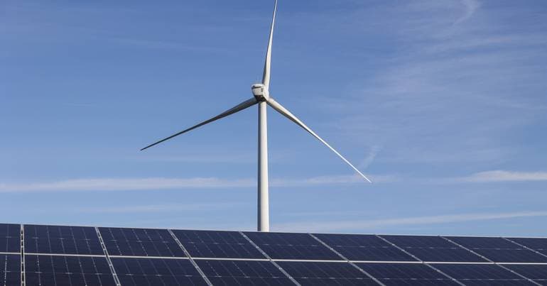 Climate Framework Law: WWF Portugal criticises IL's proposal