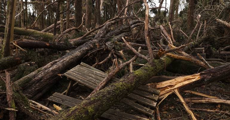 19 incidents in the Azores due to bad weather