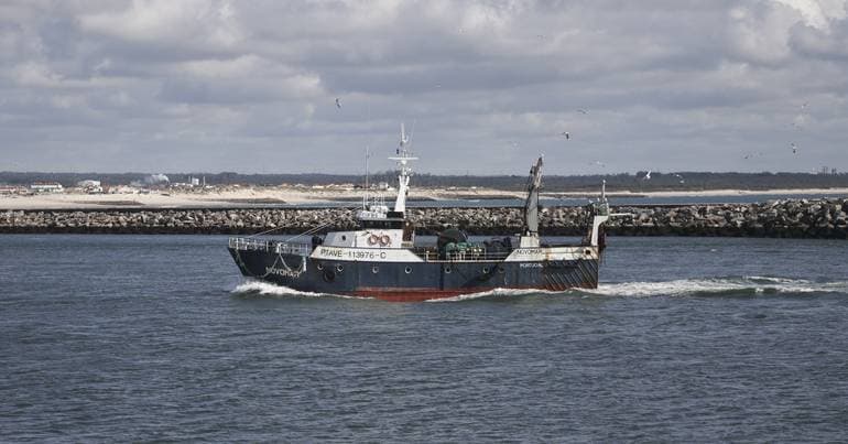 Body of a man found floating in Figueira da Foz