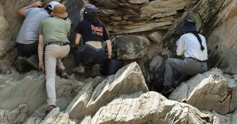 Experts show the evolution of rock art in Gardunha